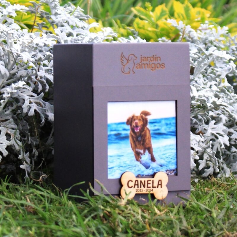 Individual Chico - Imagen 2